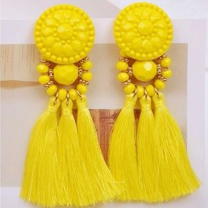 Tassel Drop Earrings